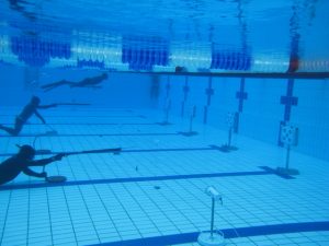 p18su1va4scujj5j2l7rtau316