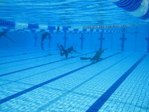 p18su1va4t1ipi1tj51nqcev03h39