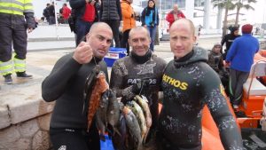 p18tkb8hb1gsj1ejg155sj285ktj