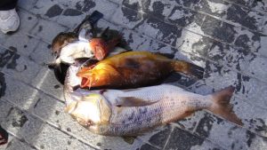 p18tkb8hb51aoo1q6o106njae1ut81v