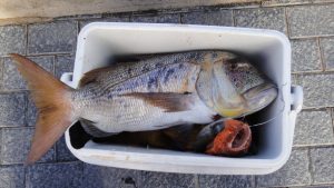 p18tkb8hb51g8m12i91iva3oon6425