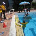 p19lkfp2abufsebpvn20r178eo