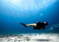 Diver Underwater